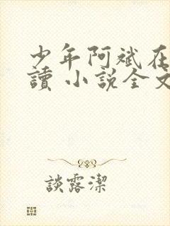 少年阿斌在线阅读 小说全文免费