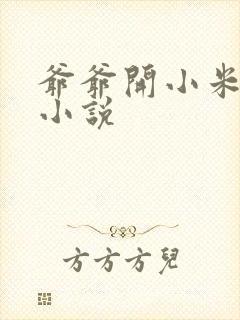 爷爷开小米的包小说