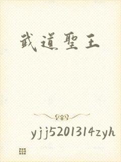 武道圣王