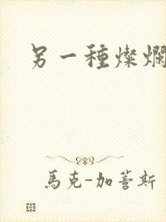 另一种灿烂生活