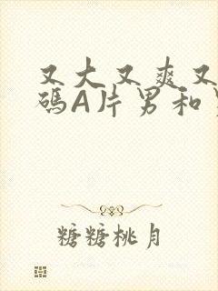 又大又爽又黄无码A片男和男