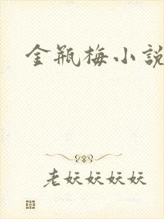 金瓶梅小说