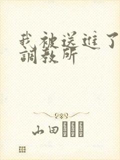 我被送进了私奴调教所