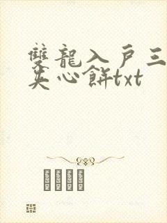 双龙入户三人行夹心饼txt