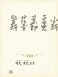 警花叶柔小说最新章节更新