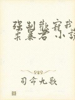 强制欢宠我的温柔暴君 小说