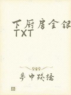 下厨房金银花露 TXT