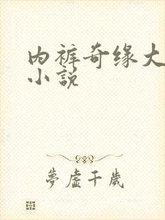 内裤奇缘大团结小说