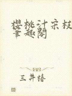 樱桃汁宋枝江野笔趣阁