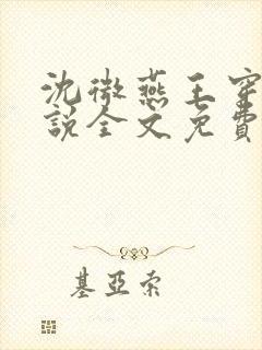 沈微燕王穿越小说全文免费阅读