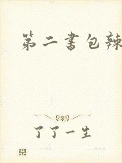 第二书包辣文