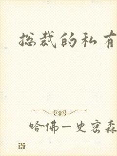 总裁的私有宝贝