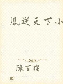 凤逆天下小说