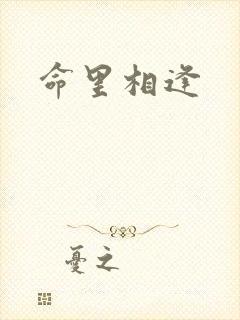 命里相逢