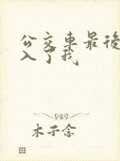 公交车最后一排入了我