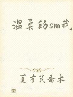温柔的sm我