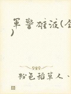 军警雄液(全篇)