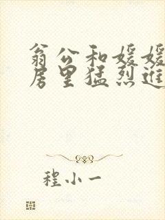 翁公和媛媛在厨房里猛烈进出