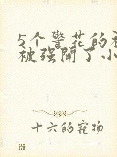 5个警花的初苞被强开了小说