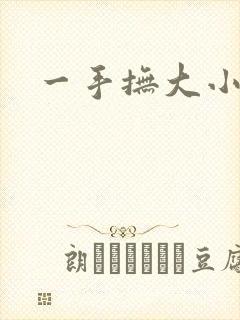 一手抚大小说