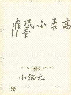 催眠小柔高达第11章