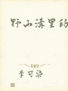 野山沟里的村庄