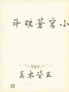 斗破苍穹小说