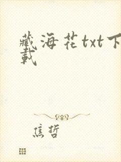 藏海花txt下载