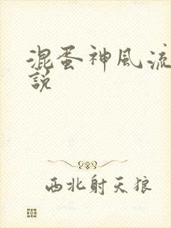 混蛋神风流史小说