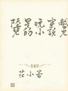 陆星晚穿越成婴儿的小说免费阅读全文