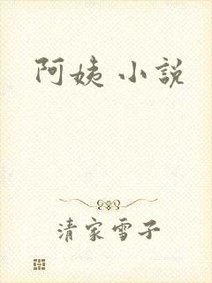 阿姨 小说