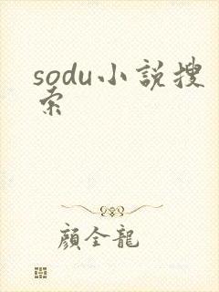 sodu小说搜索
