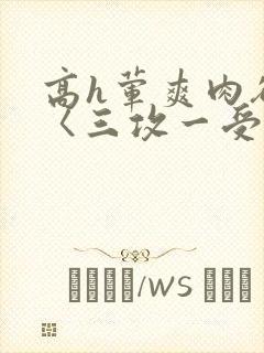 高h荤爽肉欲文〈三攻一受