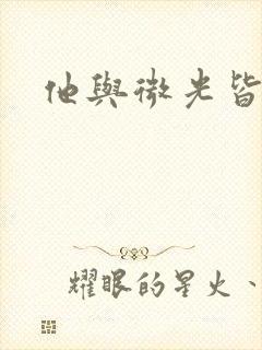 他与微光皆倾城