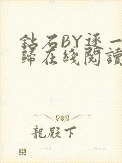 钻石BY逐一而归在线阅读