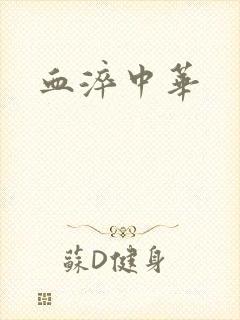 血淬中华
