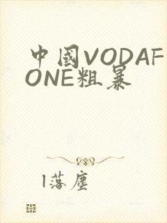 中国VODAFONE粗暴