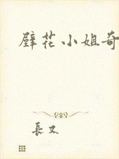 壁花小姐奇遇记