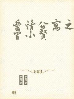 爱情公寓之极品曾小贤