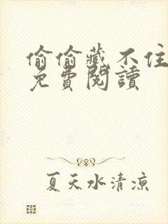 偷偷藏不住小说免费阅读