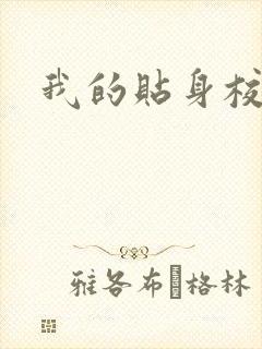我的贴身校花