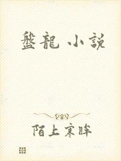 盘龙 小说