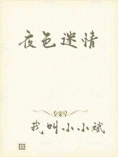 夜色迷情