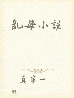 乱母小说
