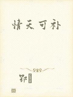 情天可补