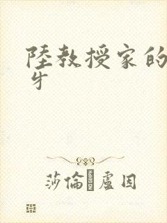 陆教授家的小月牙