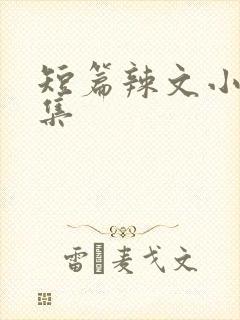 短篇辣文小说合集