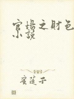 官场之财色诱人小说