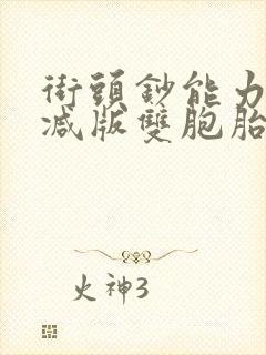 街头钞能力无删减版双胞胎