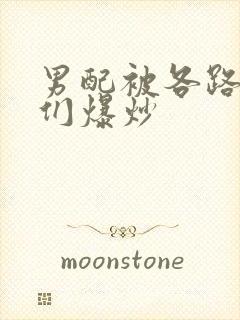 男配被各路大佬们爆炒